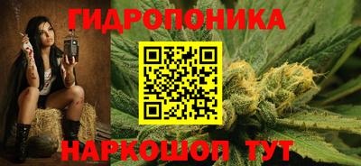 стаф Свободный