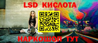 стаф Свободный