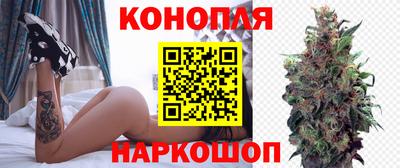 стаф Свободный