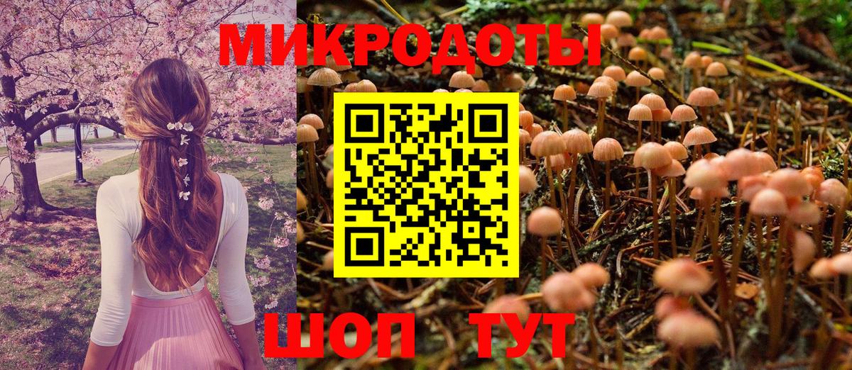 Рязань  Псилоцибиновые грибы Psilocybe  Галлюциногенные грибы Cubensis  Вход с VPN 